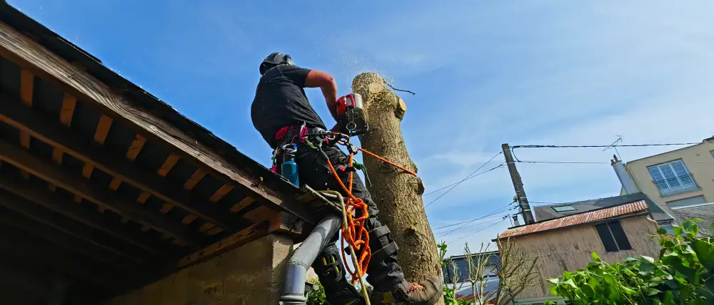 Le Mans, en plein centre-ville : le chantier se déroule au-dessus des toits, à quelques mètres des fenêtres voisines
