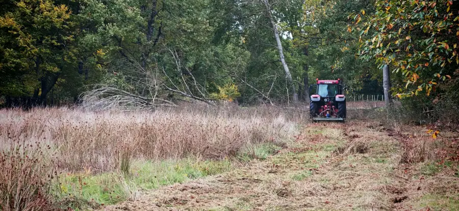 Le tracteur et le gyrobroyeur attaquent la friche haute de la parcelle de trois hectares, à Changé