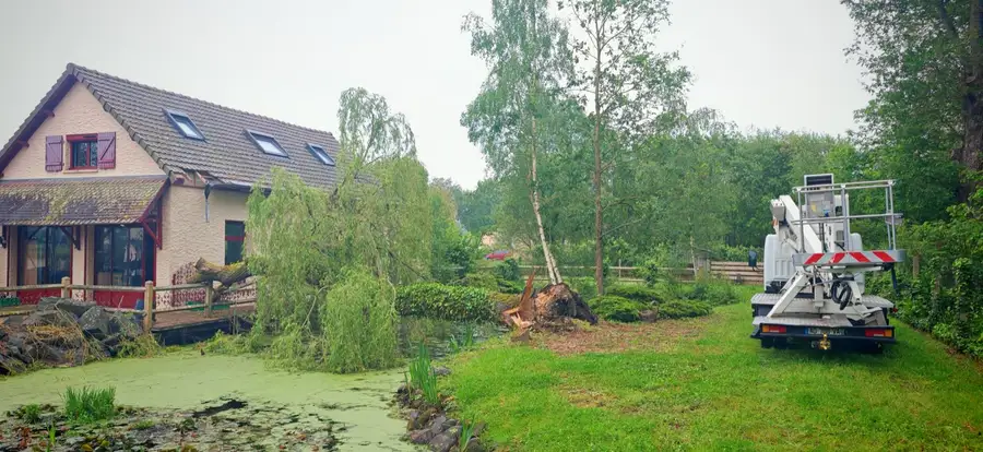 Saule effondré sur une maison au bord d'un étang, nacelle en place