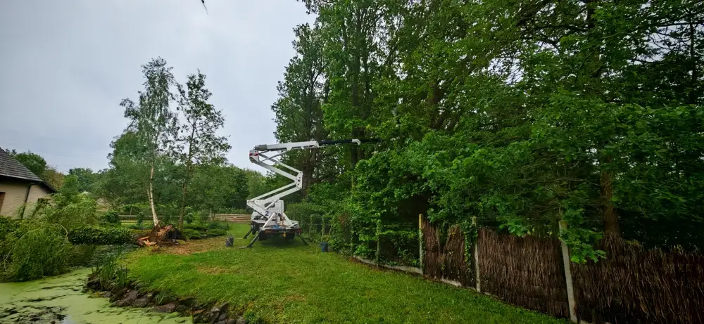 La nacelle déployée le long de la lisière de chênes